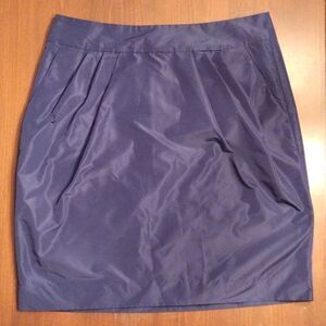 NWT Banana Republic Polyester Pencil Skirt Taffeta Lined, Size 6P, Navy Blue